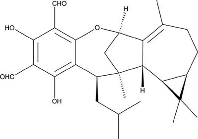 Eucalyptal D Enhances the Antifungal Effect of Fluconazole on Fluconazole-Resistant Candida albicans by Competitively Inhibiting Efflux Pump